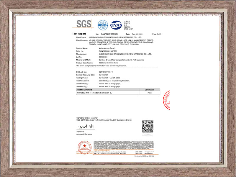SGS E0 test report
